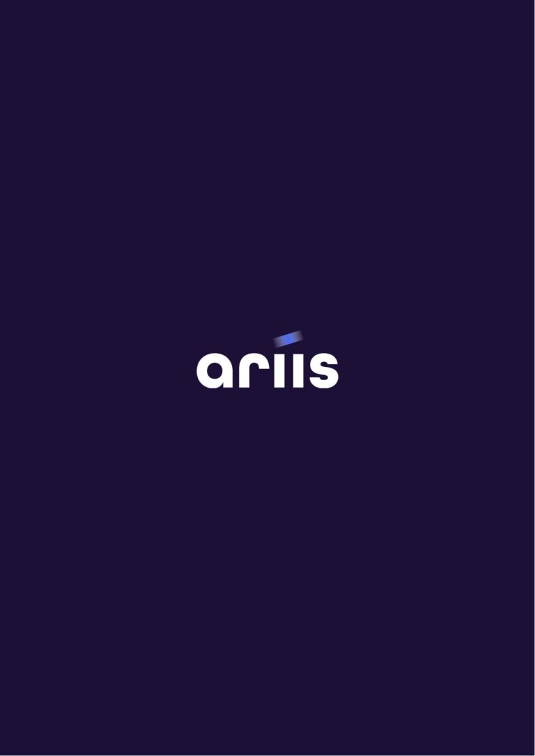 Ariis 2025 - Rapport activité-18