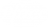 Pfizer_blanc